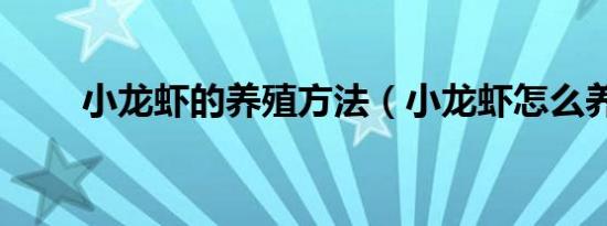 小龙虾的养殖方法（小龙虾怎么养）