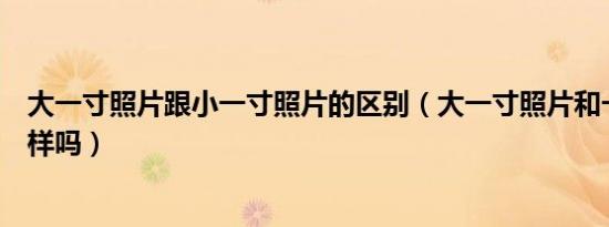 大一寸照片跟小一寸照片的区别（大一寸照片和一寸照片一样吗）