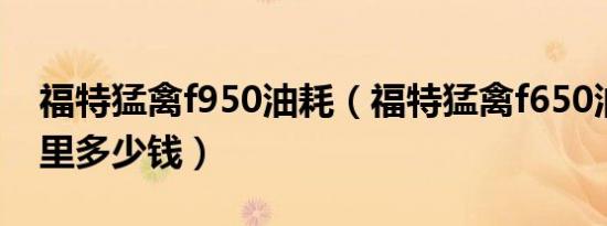 福特猛禽f950油耗（福特猛禽f650油耗一公里多少钱）