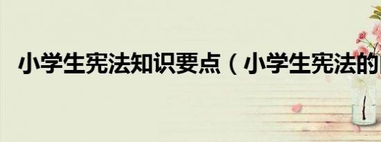 小学生宪法知识要点（小学生宪法的内容）