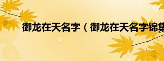 御龙在天名字（御龙在天名字锦集）