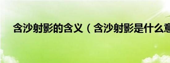 含沙射影的含义（含沙射影是什么意思）