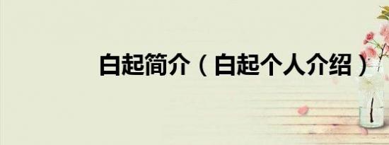 白起简介（白起个人介绍）