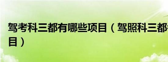 驾考科三都有哪些项目（驾照科三都考哪些项目）