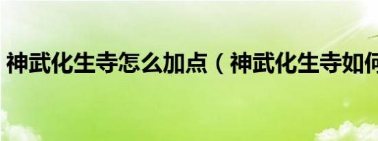 神武化生寺怎么加点（神武化生寺如何加点）