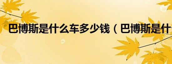 巴博斯是什么车多少钱（巴博斯是什么车）