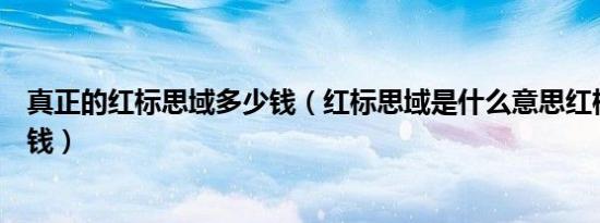 真正的红标思域多少钱（红标思域是什么意思红标思域多少钱）