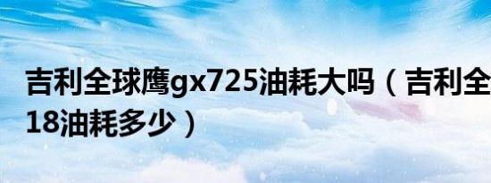 吉利全球鹰gx725油耗大吗（吉利全球鹰gx718油耗多少）