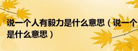 说一个人有毅力是什么意思（说一个人有毅力是什么意思）