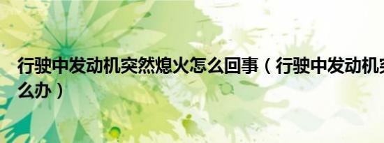 行驶中发动机突然熄火怎么回事（行驶中发动机突然熄火怎么办）