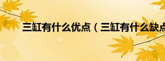 三缸有什么优点（三缸有什么缺点）