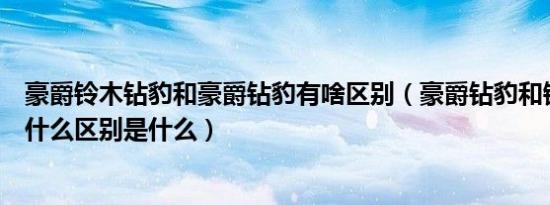 豪爵铃木钻豹和豪爵钻豹有啥区别（豪爵钻豹和铃木钻豹有什么区别是什么）