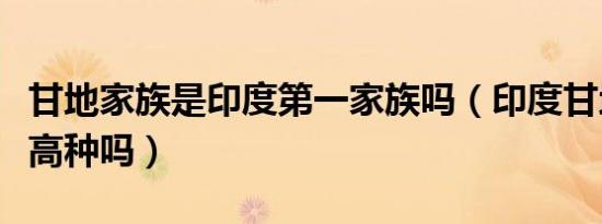 甘地家族是印度第一家族吗（印度甘地家族是高种吗）