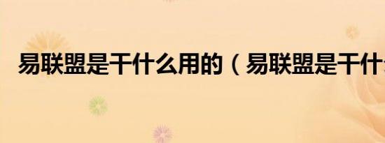 易联盟是干什么用的（易联盟是干什么的）