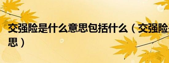 交强险是什么意思包括什么（交强险是什么意思）
