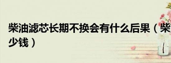 柴油滤芯长期不换会有什么后果（柴油滤芯多少钱）