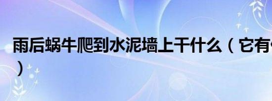 雨后蜗牛爬到水泥墙上干什么（它有什么特点）