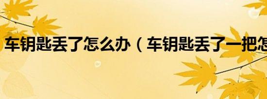 车钥匙丢了怎么办（车钥匙丢了一把怎么办）