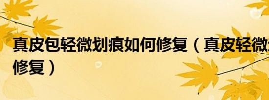 真皮包轻微划痕如何修复（真皮轻微划痕如何修复）