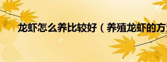 龙虾怎么养比较好（养殖龙虾的方法）