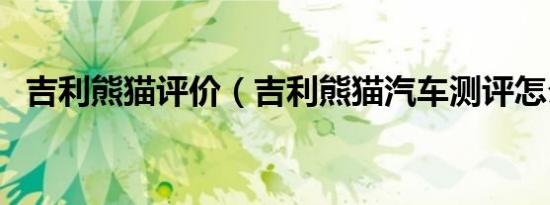 吉利熊猫评价（吉利熊猫汽车测评怎么样）
