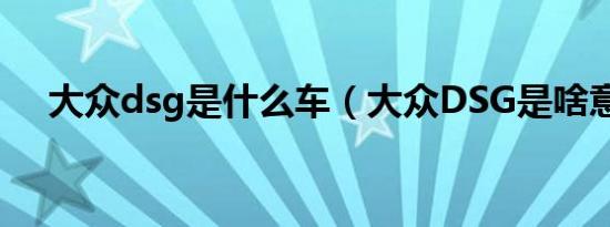 大众dsg是什么车（大众DSG是啥意思）