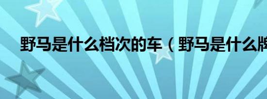 野马是什么档次的车（野马是什么牌子）