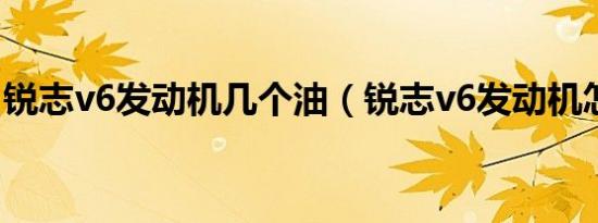 锐志v6发动机几个油（锐志v6发动机怎么样）