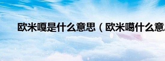 欧米嘎是什么意思（欧米噶什么意思）