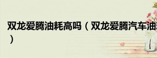 双龙爱腾油耗高吗（双龙爱腾汽车油耗怎么样）