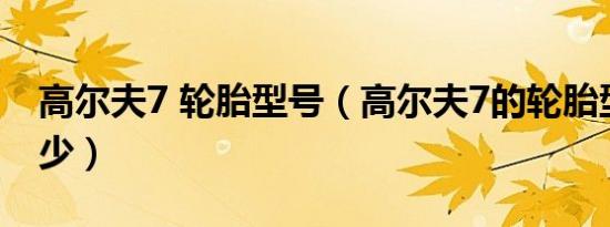 高尔夫7 轮胎型号（高尔夫7的轮胎型号是多少）