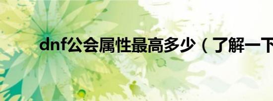 dnf公会属性最高多少（了解一下）