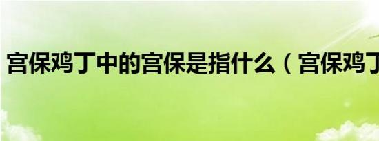 宫保鸡丁中的宫保是指什么（宫保鸡丁介绍）