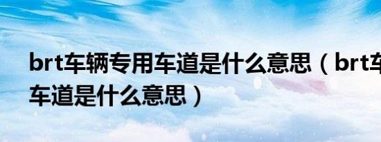 brt车辆专用车道是什么意思（brt车辆专用车道是什么意思）