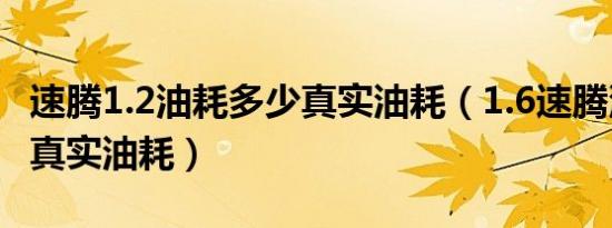 速腾1.2油耗多少真实油耗（1.6速腾油耗多少真实油耗）