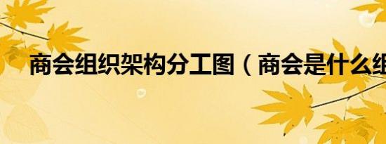 商会组织架构分工图（商会是什么组织）