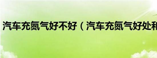 汽车充氮气好不好（汽车充氮气好处和坏处）