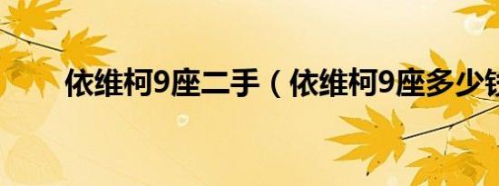 依维柯9座二手（依维柯9座多少钱）