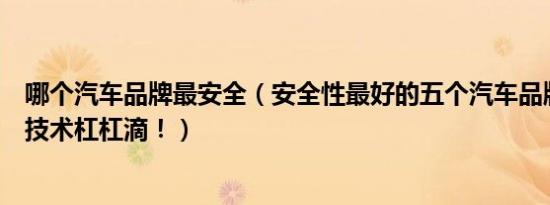 哪个汽车品牌最安全（安全性最好的五个汽车品牌大全安全技术杠杠滴！）