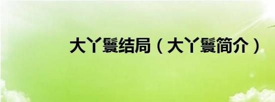 大丫鬟结局（大丫鬟简介）