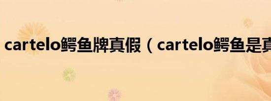 cartelo鳄鱼牌真假（cartelo鳄鱼是真的么）