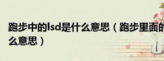 跑步中的lsd是什么意思（跑步里面的lsd是什么意思）