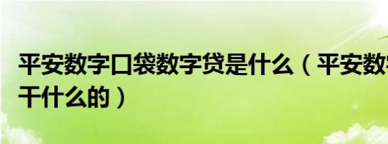 平安数字口袋数字贷是什么（平安数字口袋是干什么的）