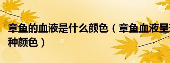 章鱼的血液是什么颜色（章鱼血液呈现的是哪种颜色）