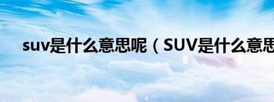 suv是什么意思呢（SUV是什么意思呢）