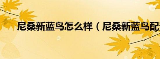 尼桑新蓝鸟怎么样（尼桑新蓝鸟配置）