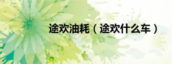 途欢油耗（途欢什么车）