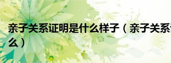 亲子关系证明是什么样子（亲子关系证明是什么）