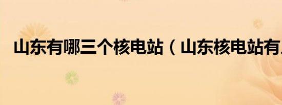 山东有哪三个核电站（山东核电站有几个）