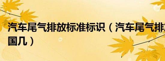 汽车尾气排放标准标识（汽车尾气排放标准是国几）